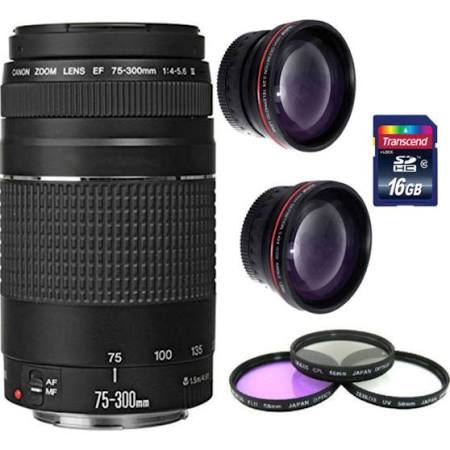 Canon Zoom Telephoto EF 75-300mm f/4.0-5.6 III Lens + 16GB Accessory Kit