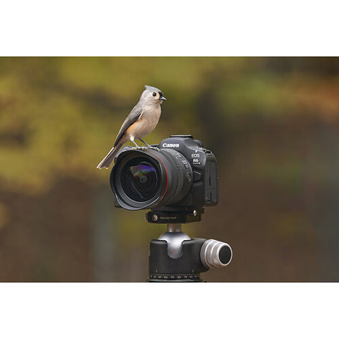 Canon EOS R6 Mark III Mirrorless Camera: 32.5MP, 40fps, 24-105mm f/4 Lens